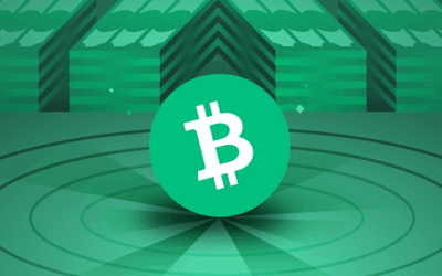 Bitcoin Cash 500x286 1 Hur man köper Bitcoin Cash