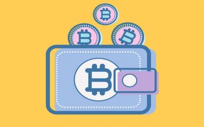 Cryptocurrency Wallets erklärt