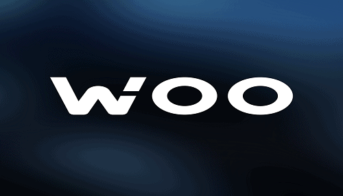 WOO Network 500x286 1 - Wie man WOO Network kauft