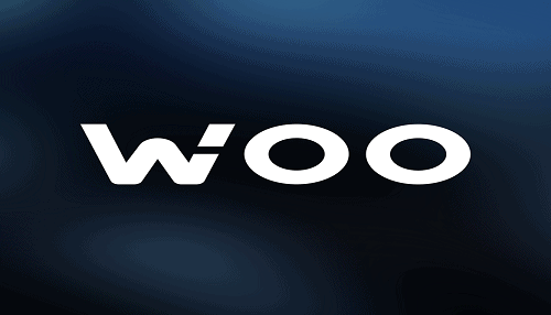 如何购买WOO Network