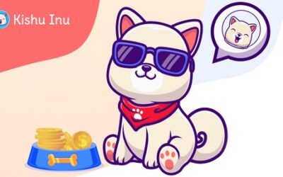 Kishu Inu 500x286 1 Hur man köper Kishu Inu