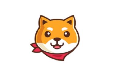 Akita Inu 500x286 1 Hur man köper Akita Inu