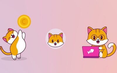 CateCoin 500x286 1 Hur man köper CateCoin