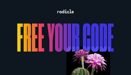 How To Buy Radicle