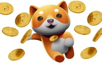 Hur man köper Baby Doge Coin