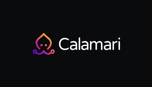 How To Buy Calamari Network