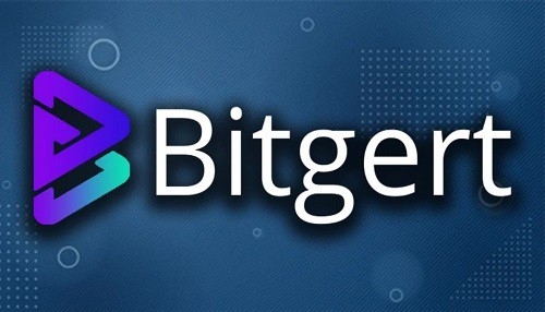 How To Buy Bitgert