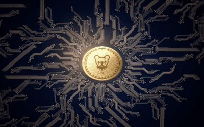 Pitbull Hur man köper Pitbull