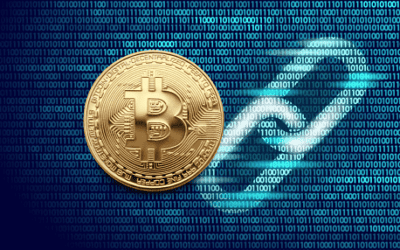 How Does A Bitcoin Wallet Work?