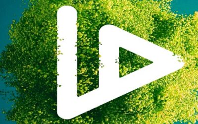 Hur köper man VIDT DAO?