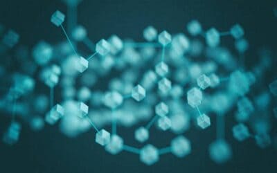 The Adaption & Adoption Of The Finest Security Practices By The Blockchain Network