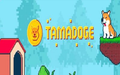 Hur man köper Tamadoge (TAMA)