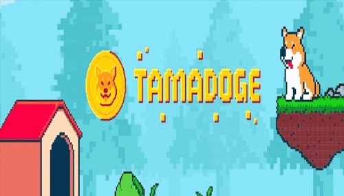 Jak koupit Tamadoge (TAMA)