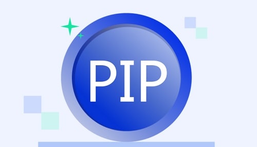 Vad är Pip (PIP)?